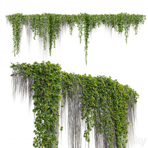 Hanging Plant 38