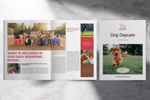 Dog Daycare Brochure Layout