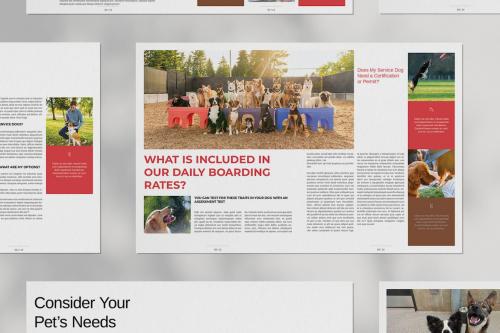 Dog Daycare Brochure Layout