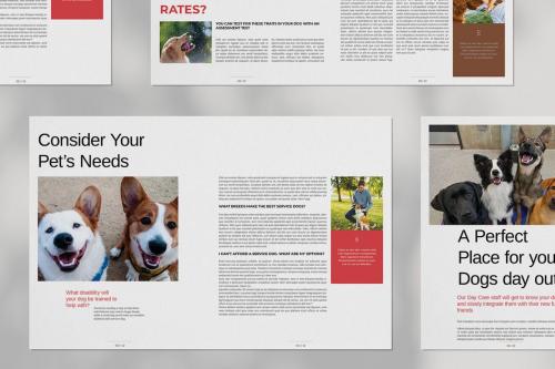 Dog Daycare Brochure Layout