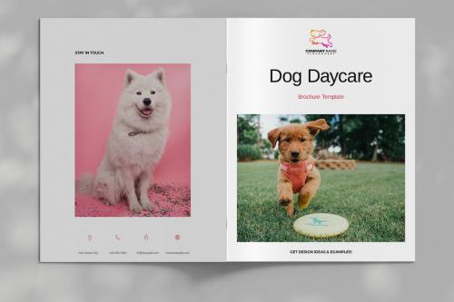 Dog Daycare Brochure Layout