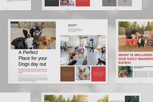 Dog Daycare Brochure Layout