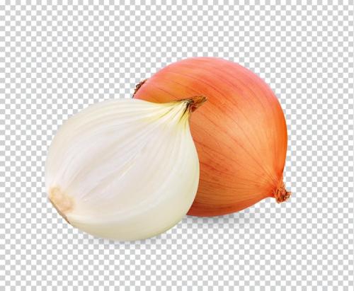 Onion Isolated Permiun Psd