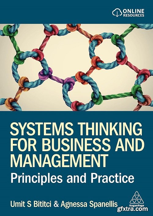 Systems Thinking for Business and Management: Principles and Practice