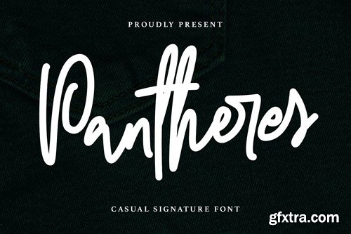 Pantheres Casual Signature Font VBFV32C