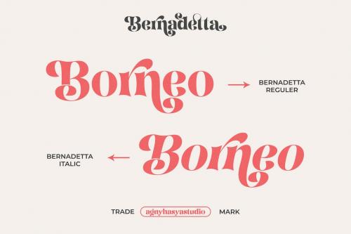 Bernadetta - A Modern Classic Serif