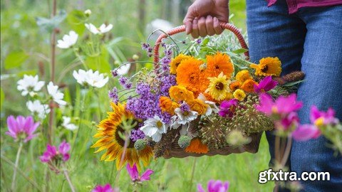 Cut Flower Garden For Beginners - From Seed To Bouquet