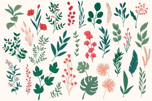 Collection Hand Drawn Floral Decorative Element