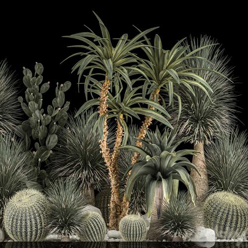 Collection of tropical plants of the desert 1117. cactus, yucca, prickly pear, thickets, bushes, garden, dracaena