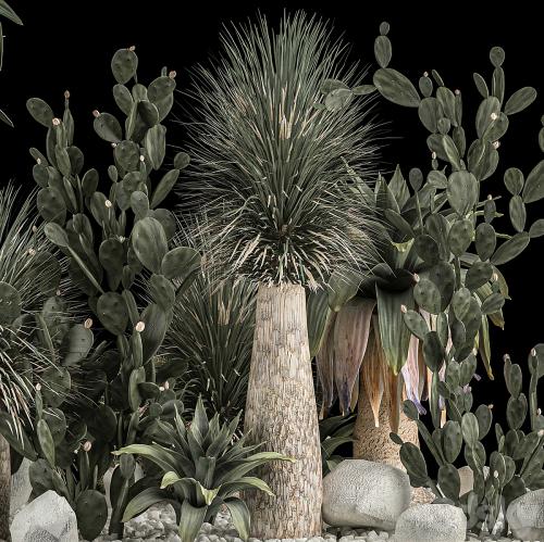 Collection of tropical plants of the desert 1117. cactus, yucca, prickly pear, thickets, bushes, garden, dracaena