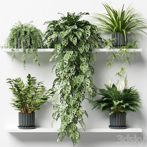 Plants on a shelf in ribbed pots