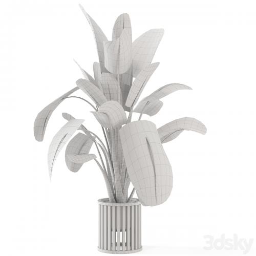 Indoor Plants in Metal Pot - Set 842