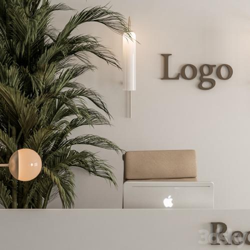 Reception Desk and Wall Decoration - Office Set 239