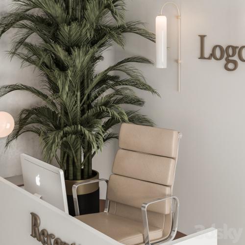 Reception Desk and Wall Decoration - Office Set 239