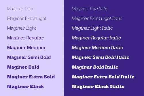 Maginer - Quirky Display Font Family