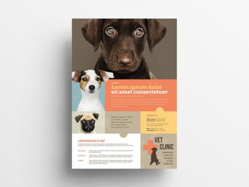 Veterinary Flyer with Orange Accents - 338961687