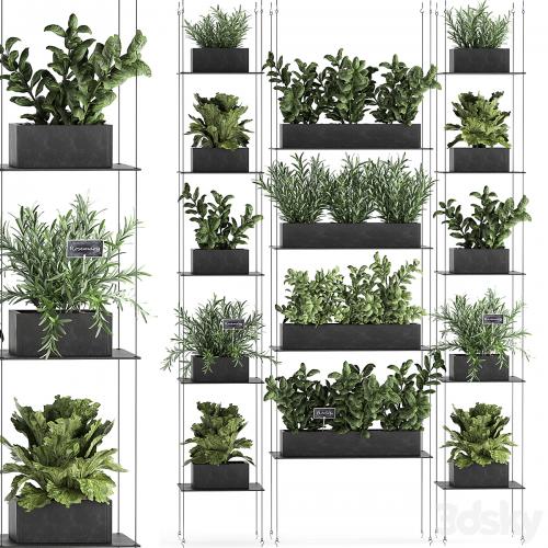 Vertical gardening home garden kitchen garden, shelf suspension with plants, phytosten, phytomodule. Set 63.