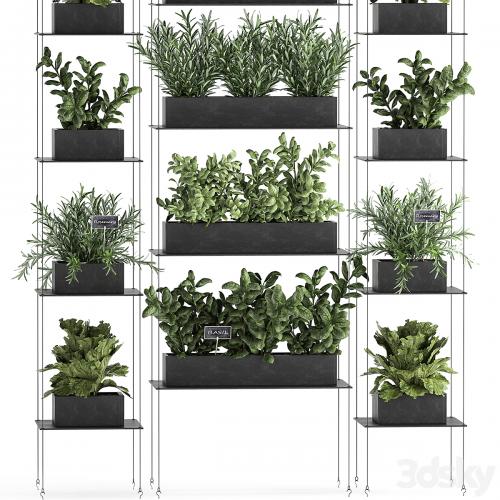 Vertical gardening home garden kitchen garden, shelf suspension with plants, phytosten, phytomodule. Set 63.