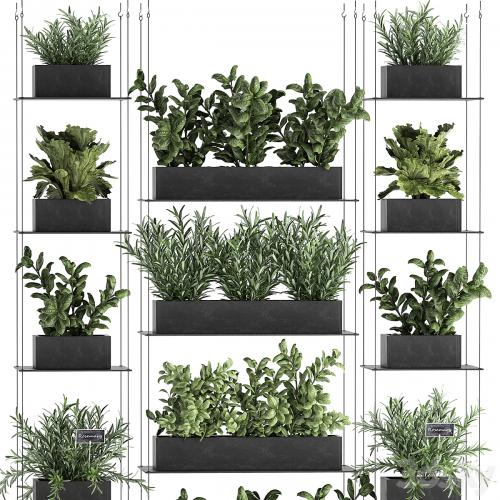 Vertical gardening home garden kitchen garden, shelf suspension with plants, phytosten, phytomodule. Set 63.