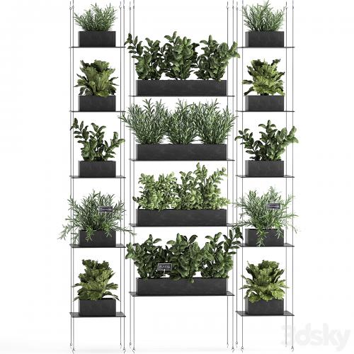 Vertical gardening home garden kitchen garden, shelf suspension with plants, phytosten, phytomodule. Set 63.