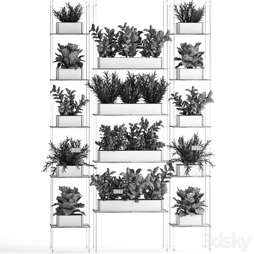 Vertical gardening home garden kitchen garden, shelf suspension with plants, phytosten, phytomodule. Set 63.