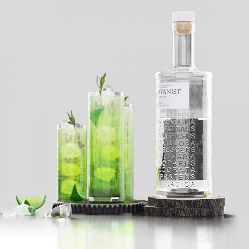 The Botanist gin and mojito with ice