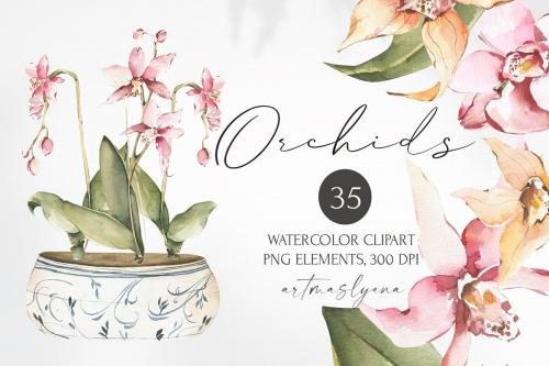 Watercolor Orchid Flowers clipart, botanical image