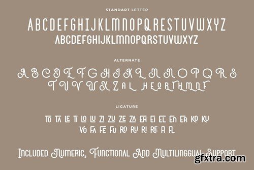 Baynois Vintage Monoline Font 9EZSGLU