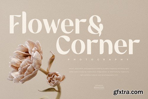 Geranium - Modern Elegant Beauty Font QJUTGZA