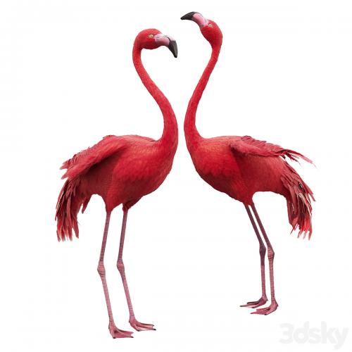 Flamingo-model