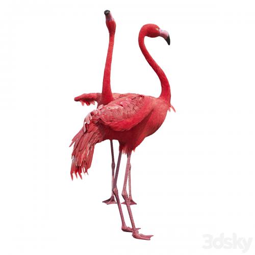 Flamingo-model