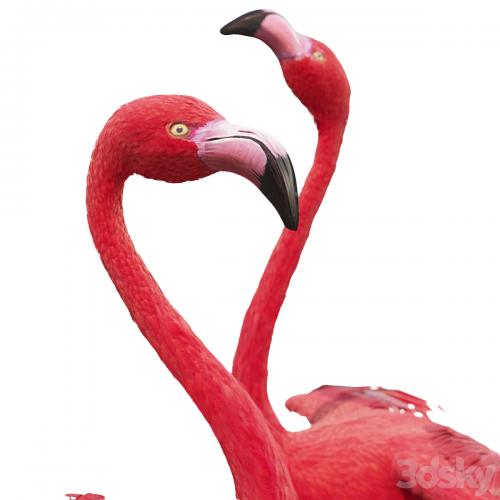 Flamingo-model