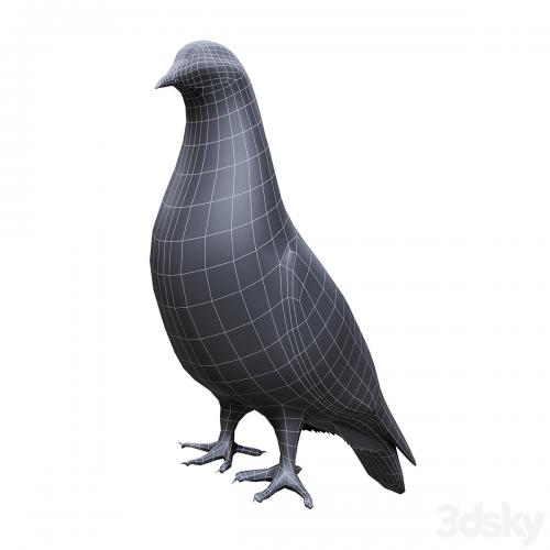 Pigeon