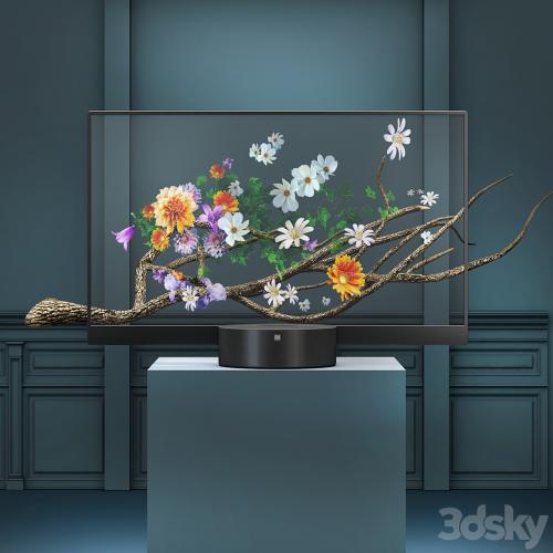 Xiaomi TV Lux Transparent Edition 55 