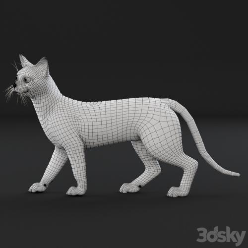 White cat (rig)