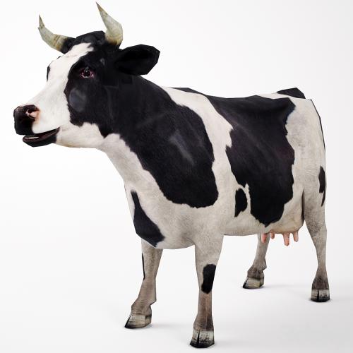 Cow