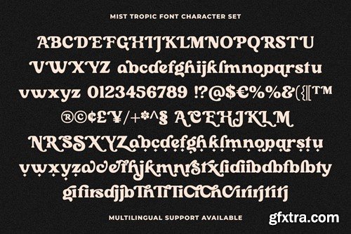 Mist Tropic - Tropic Serif Font NHK7V4A