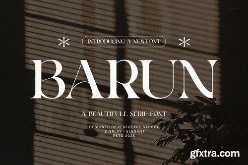 Barun Elegant Serif Font Typeface BB7U37V