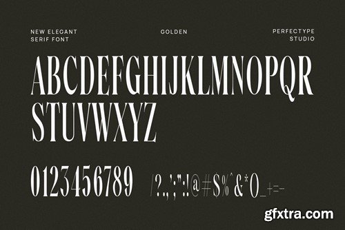 Golden Elegant Serif Font Typeface D9HMBL9