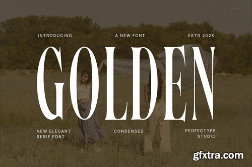 Golden Elegant Serif Font Typeface D9HMBL9