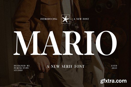 Mario Elegant Serif Font Typeface LX2DB9B