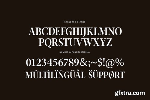 Mario Elegant Serif Font Typeface LX2DB9B