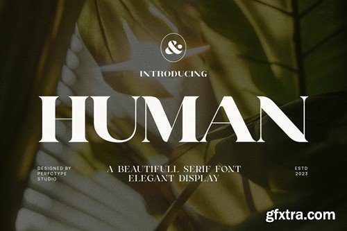 Human Elegant Serif Font Typeface BERZGAE