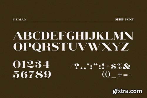 Human Elegant Serif Font Typeface BERZGAE