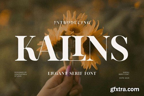 Kalins Elegant Serif Font Typeface 2VZDC2F