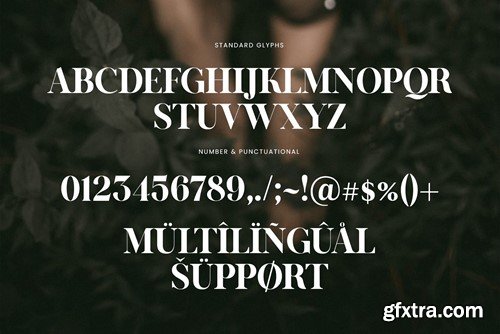 Kalins Elegant Serif Font Typeface 2VZDC2F