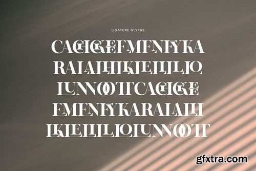 Kalins Elegant Serif Font Typeface 2VZDC2F