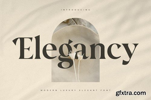Elegancy - Modern Luxury Elegant Font FEBZG5L