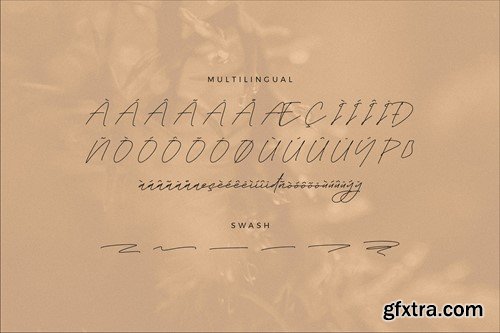 Whitesligh Monoline Signature Font GGZ5B2A