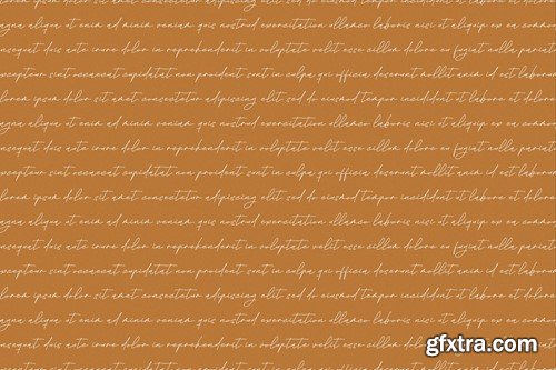 Whitesligh Monoline Signature Font GGZ5B2A